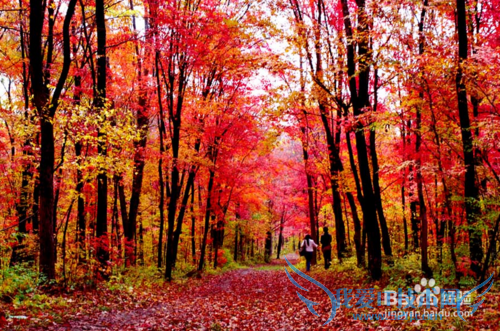 济南旅游必看风景