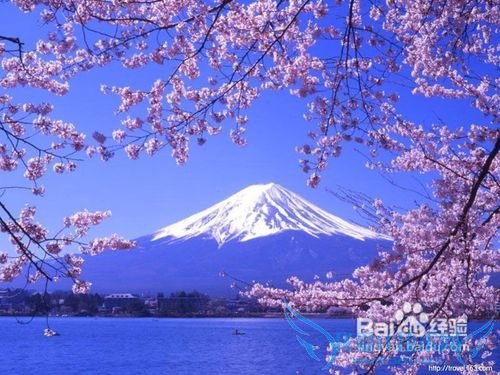 日本旅游攻略之详细版