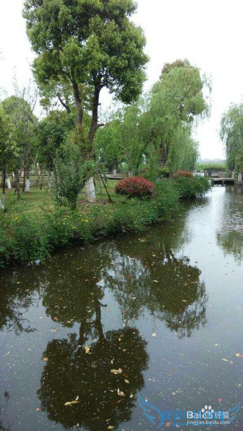 旅游哪个地方最好