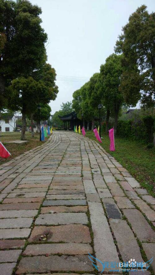 旅游哪个地方最好