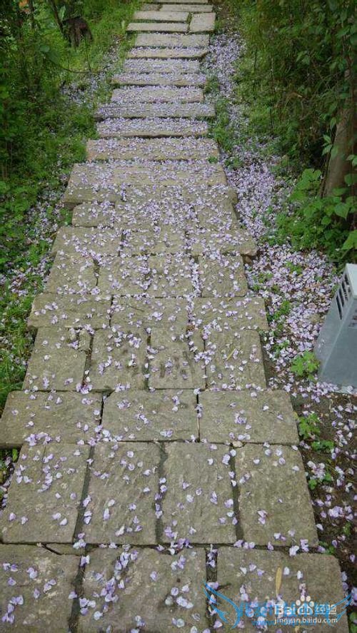 旅游哪个地方最好