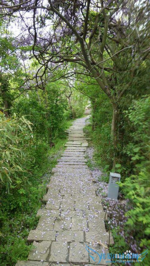 旅游哪个地方最好