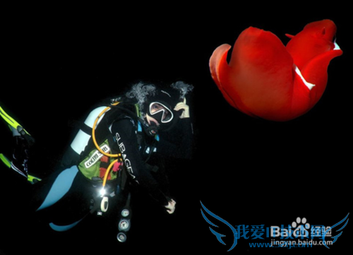 毛里求斯旅游景点推荐