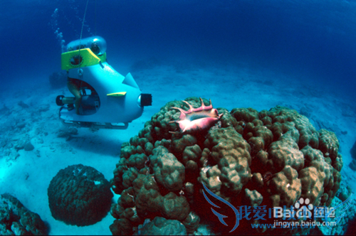 毛里求斯旅游景点推荐