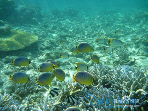 毛里求斯旅游景点推荐