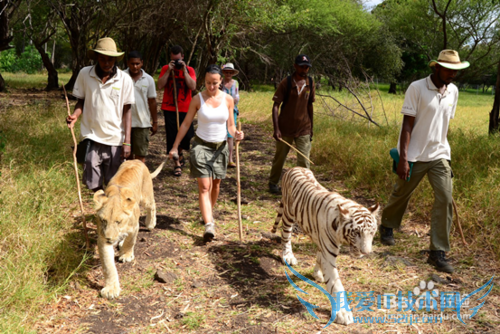 毛里求斯旅游景点推荐