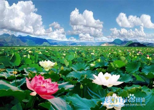 云南 五一旅游攻略