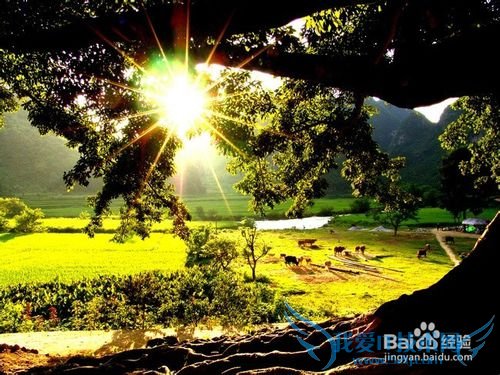 云南 五一旅游攻略