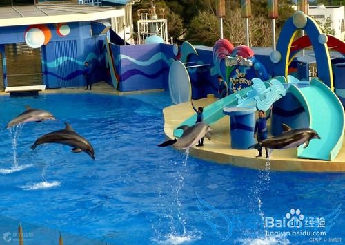 香港海洋公园 旅游攻略