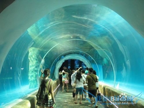 香港海洋公园 旅游攻略