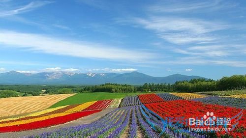 日本15日游详细攻略(大阪一路玩到北海道篇)