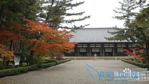 日本15日游详细攻略(大阪一路玩到北海道篇)