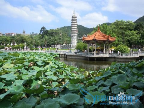 元旦去厦门旅游