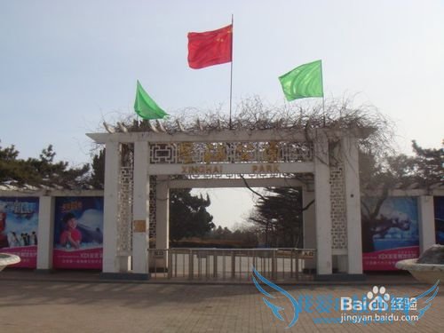 大连星海广场游玩攻略