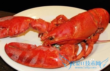 美国佛罗里达旅游都有哪些好吃的