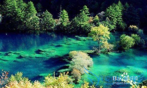 九寨沟3日游攻略