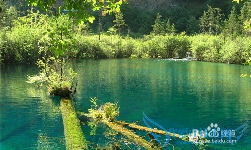 九寨沟3日游攻略