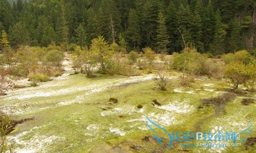 九寨沟3日游攻略