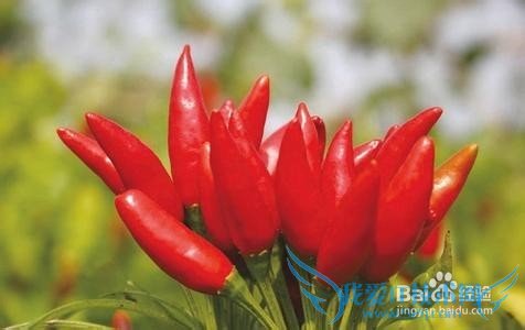 塞班岛旅游全攻略