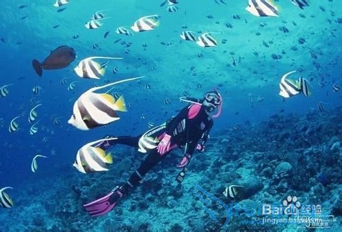 塞班岛旅游全攻略