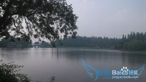 十一国庆旅游推荐