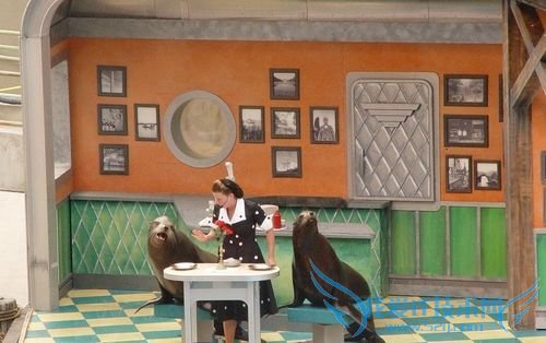 美国度假旅游攻略篇