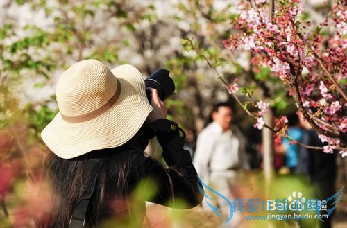 如何抓拍旅游人像