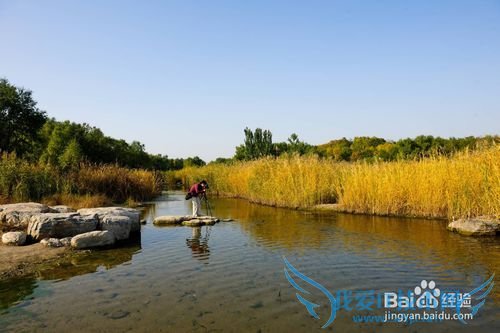 如何抓拍旅游人像