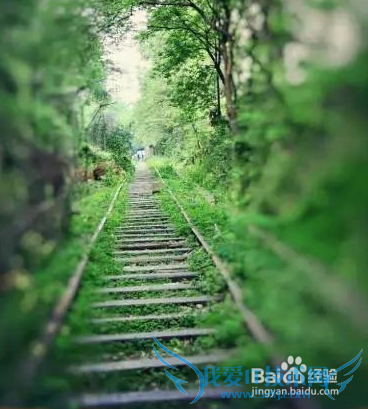 【经验】重庆的7大圣地最适合拍照