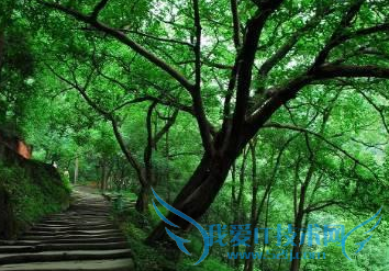 【经验】重庆的7大圣地最适合拍照