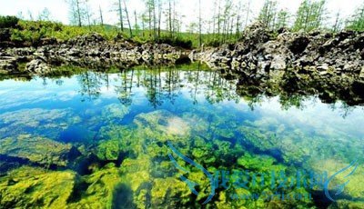 呼伦贝尔八日游攻略