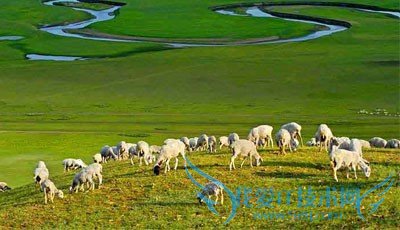 呼伦贝尔八日游攻略