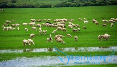 呼伦贝尔八日游攻略