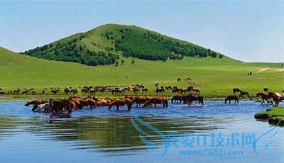 呼伦贝尔八日游攻略