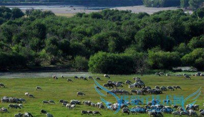 呼伦贝尔八日游攻略