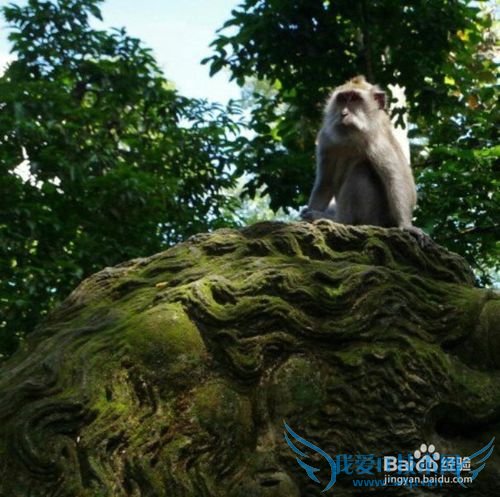 巴厘岛风光 四爷若曦浪漫之地