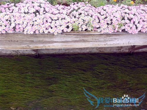 丽江旅游住吃玩完全攻略