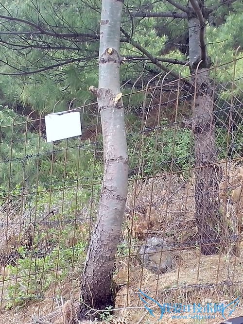 丽江旅游住吃玩完全攻略