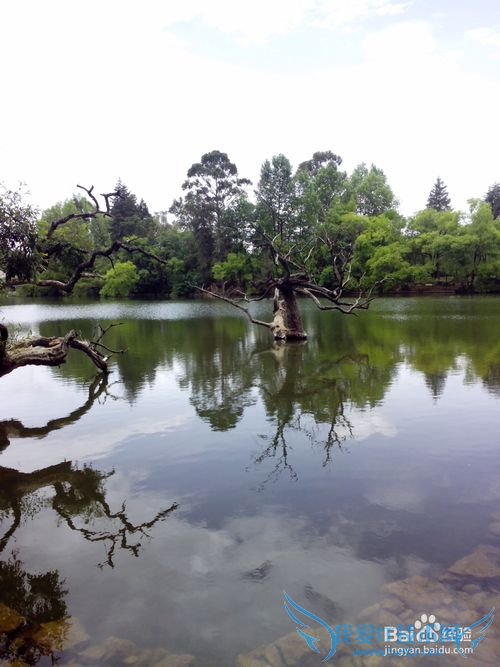 丽江旅游住吃玩完全攻略