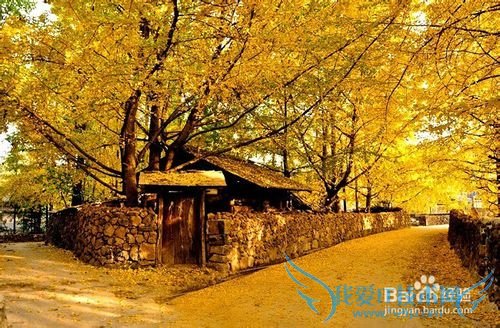 腾冲旅游景点推荐最新