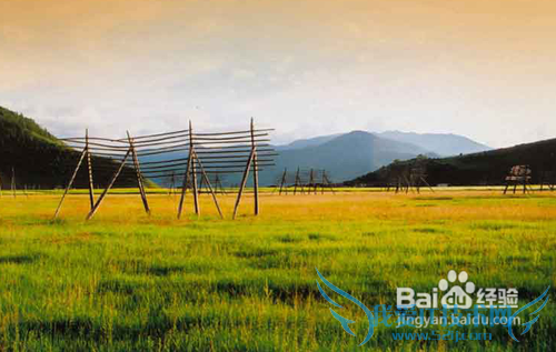 12月去哪里旅游最好