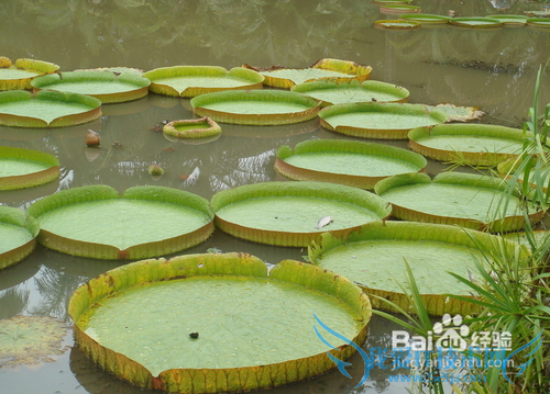 12月去哪里旅游最好