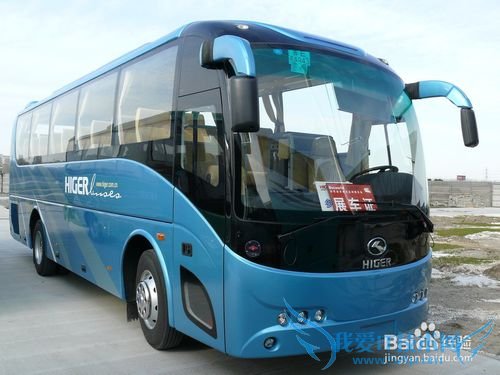 外出旅游注意哪些