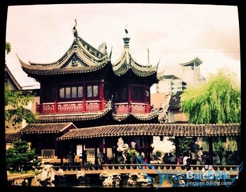 2015年上海跨年旅游经验推荐