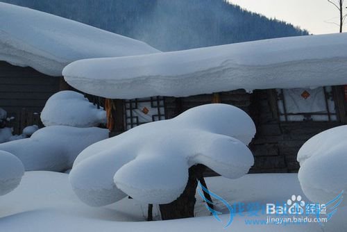 ѩ�����ν�ͨ