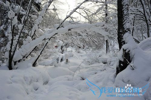 ѩ�����ν�ͨ