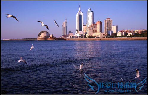 2010青岛旅游攻略