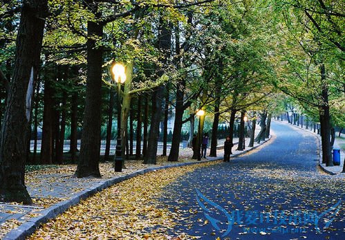 2010青岛旅游攻略