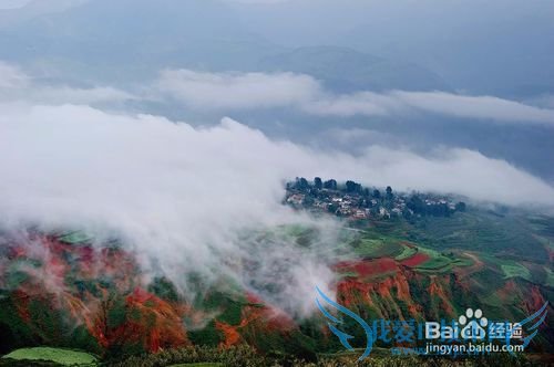 我们一起去云南吧