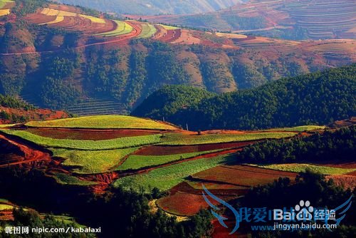 我们一起去云南吧